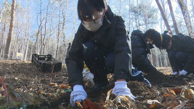 部活の研究に基づいて保護活動　スズラン群生地に高校生が新たな苗を植える　　|　山梨のニュース | ＵＴＹテレビ山梨