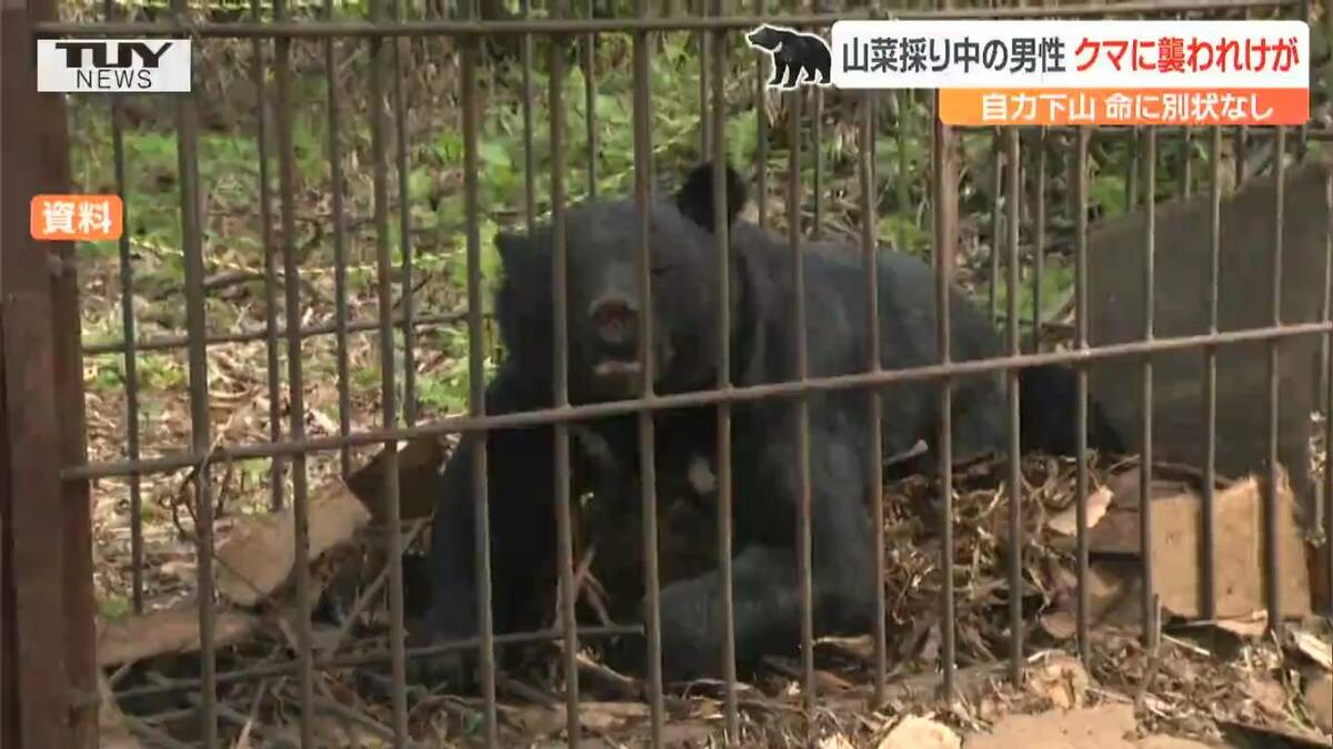 確認*⸜(* ॑꒳ ॑*  )⸝*くまさん 確認*⸜(* ॑꒳ ॑* )⸝*くまさん DIO ZX本物？偽物？伝説にいくバイク