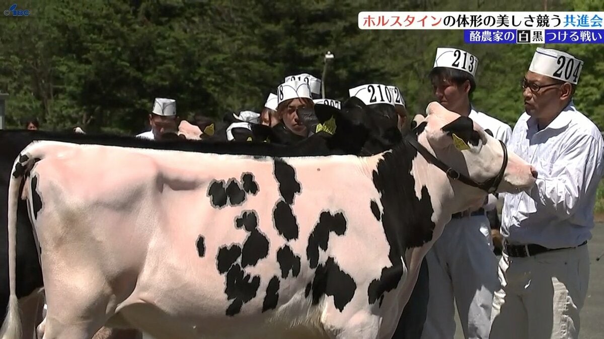 img_904efbeb1b12df86517442bf2f