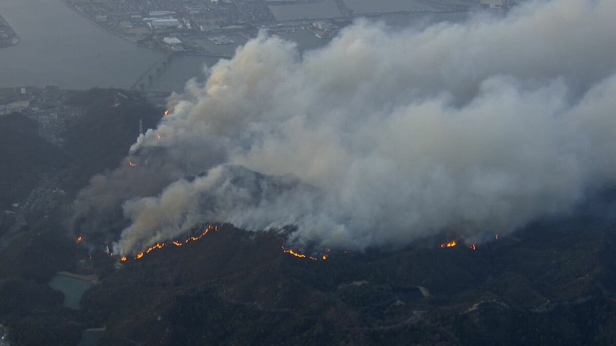 大規模な山林火災のあとに広がる生態系「死の世界」 20日目に鎮火した