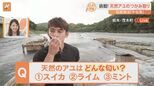 北関東の那珂川で“清流の女王”天然アユのつかみ取りに挑戦!とれたてのアユはある爽やかな匂いも?【すたすた中継】|TBS NEWS DIG