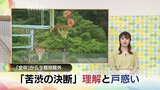 中学校スポーツの全国大会９競技が除外へ「苦渋の決断」に現場の反応は…教員の負担軽減が狙い　子どもたちの夢はどうなる？|TBS NEWS DIG