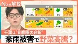 千葉豪雨で“首都圏の台所”が悲鳴 コメに泥のニオイ、種40万粒まき直し…秋冬に野菜高騰の恐れ【Nスタ解説】|TBS NEWS DIG