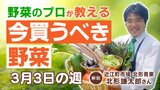 【今買うべき野菜は？】3/3の週 キャベツ・大根は高め きゅうりやなすは安定 野菜価格を徹底解説|TBS NEWS DIG