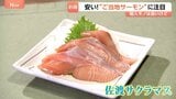 人気No.1のサーモン「輸送コスト増」イラン情勢でノルウェー産など高値に… いま国産の“ご当地サーモン”に脚光|TBS NEWS DIG