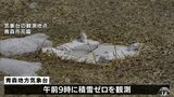 150cmの最大積雪を観測の青森市で積雪「ゼロ」観測 2024年よりも39日遅く過去10年では2番目に遅い観測 | 青森のニュース│ATV NEWS│青森テレビ