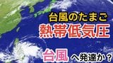 【台風情報】11月下旬なのに...「台風のたまご」熱帯低気圧が発生　24時間以内に「台風」へ発達する見込み　今後の進路は？　全国各地の天気シミュレーション【気象庁 24日午後7時半更新】	　|　岡山・香川のニュース | 天気 | RSK山陽放送