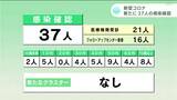 新型コロナ 高知で37人の感染確認　40人以下は2022年1月以来|TBS NEWS DIG