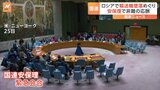 国連安保理で輸送機墜落巡りロシアとウクライナが非難の応酬|TBS NEWS DIG