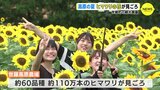 高原の夏　ヒマワリの花が見ごろ　60品種･110万本　広島･世羅町の観光農園|TBS NEWS DIG
