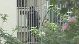 「母親を殺した」と自首 37歳無職の男を殺人の疑いで逮捕 同居の67歳の母親を殺害した疑い 警察は動機などを捜査 神奈川県警|TBS NEWS DIG