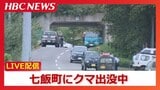 【速報】北海道七飯町でヒグマ1頭出没 道路などに居座って駆けつけたハンターとにらみ合いか 周辺の函館新道の一部が通行止め | 北海道のニュース|HBC北海道放送