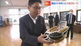 瀬戸内海の離島にも「大谷グローブ」!全校児童1人の小学校に3つのグローブ届き...どう使う?|TBS NEWS DIG