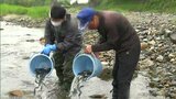 「新苔食べていいアユに」6月のアユ漁解禁前に 稚魚3万7000匹を放流【岡山・津山市】|TBS NEWS DIG