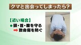 もしクマに出会ってしまったら?目撃・被害相次ぐ 福島 | 福島のニュース│TUF
