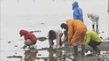 雨のなか潮干狩りが解禁 大勢の人で賑わう アサリは大粒で味も濃いのが特長の天然もの 愛知・田原市|TBS NEWS DIG