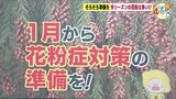 ことしの花粉は特にキツイ!? 中国・関東・北陸は「この10年で最多」 スギ花粉の花芽調査|TBS NEWS DIG