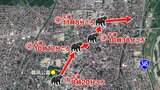 「クマはもう市街地にはいない」鶴岡市の皆川市長が認識示す(山形) | 山形のニュース│TUYテレビユー山形