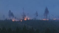 ベルギー東部で過去最大規模の山火事| TBS CROSS DIG with Bloomberg