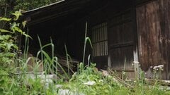 「所有者に決定権」「売却や賃貸に段階を踏む」価値ある“空き家”の掘り起こし方～空き家の活用事例を調査| TBS CROSS DIG with Bloomberg