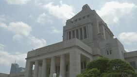 【速報】SNS規制法案が可決・成立　選挙期間中のSNS「偽情報」対策強化|TBS NEWS DIG
