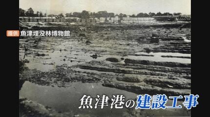 2000年前の木の根が当時のまま出土…魚津埋没林って何？なぜ腐らない