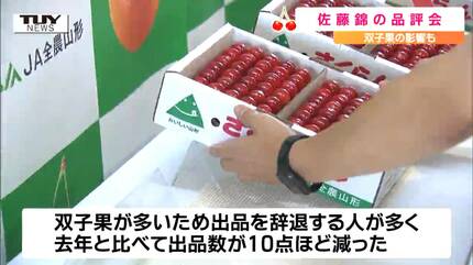 過去最高と同じ糖度！見事な赤！ツヤツヤ！さくらんぼの主力品種”佐藤