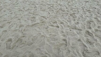 Superfly・越智志帆】出身地・愛媛の山林火災に思いを綴る「美しい景色  