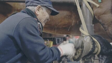 ばんえい競馬】「我々がいなきゃ、馬も裸足になって困るだろう」馬の足