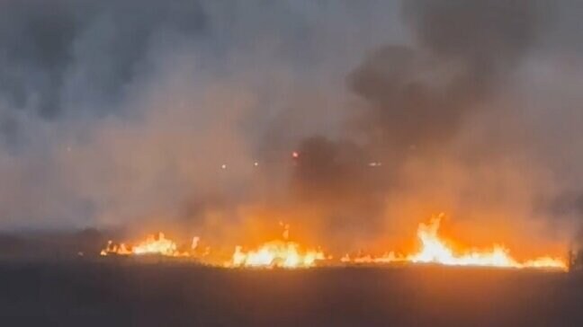高梁川の河川敷で火災　約5時間後に鎮火　枯れ草など約5ヘクタールを焼失【岡山・総社市】|TBS NEWS DIG