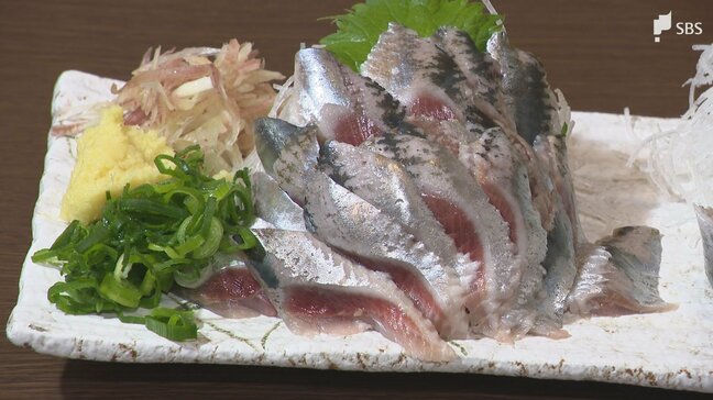 「こんな脂乗りのいいイワシはこの時期入らない」記録的な豊漁でイワシが安い！ 裏腹にイワシの子どものシラスは不漁に=静岡|TBS NEWS DIG