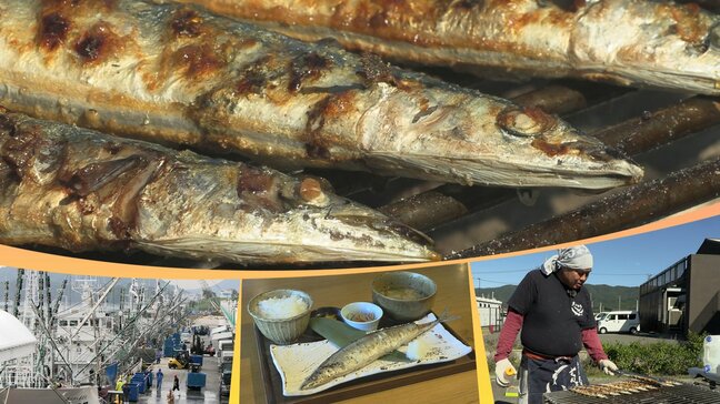 【ホクホクグルメ②】おいしいサンマの見分け方とは? サンマ焼き師に教わる焼き方は? 岩手・大船渡市|TBS NEWS DIG