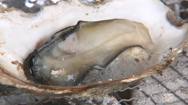 産地直送の宮城県産カキが食べられる出張カキ小屋 一方、魚介類にも物価高騰の波 仕入れ値は1.3倍 山梨・富士吉田市|TBS NEWS DIG