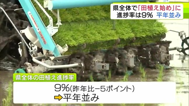 青森県全体で「田植え始め」進捗率は平年並みの9％|TBS NEWS DIG