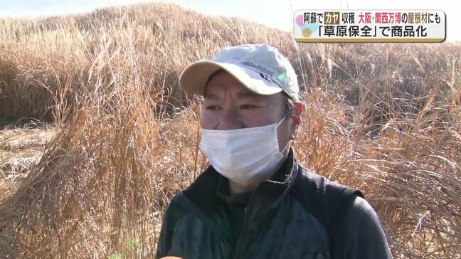大阪・関西万博の屋根材に採用 阿蘇の草原でカヤの収穫 熊本|TBS NEWS DIG