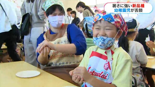 みんなで握るとおいしいね　コメ新品種「あきの舞」でおにぎり教室　“暑さに強い”鹿児島県が10年かけ開発|TBS NEWS DIG