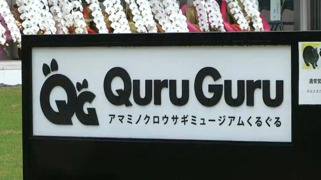 特別天然記念物「アマミノクロウサギ」を間近に　飼育施設が鹿児島・奄美大島にオープン|TBS NEWS DIG