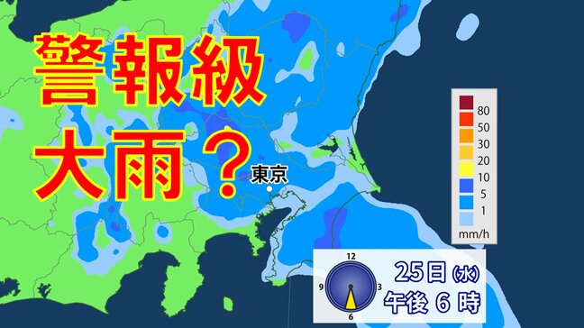 【大雨情報】東京都心も「警報級大雨」の可能性　台風2号から変わる熱帯低気圧が北上　関東地方に進む見込み　土砂災害などに警戒【最新・雨の予想シミュレーション】|TBS NEWS DIG