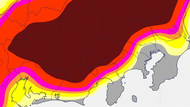 【関東甲信】24日と25日は昼前~夜遅くにかけ 雷を伴った激しい雨や非常に激しい雨の降る所が 警報級の可能性も 【発雷確率・雨と風のシミュレーション】|TBS NEWS DIG