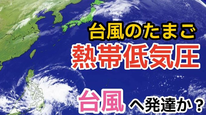 【台風情報】11月下旬なのに...「台風のたまご」熱帯低気圧が発生　24時間以内に「台風」へ　今後の進路は？　全国各地の天気シミュレーション【気象庁 24日午後6時半更新】	|TBS NEWS DIG