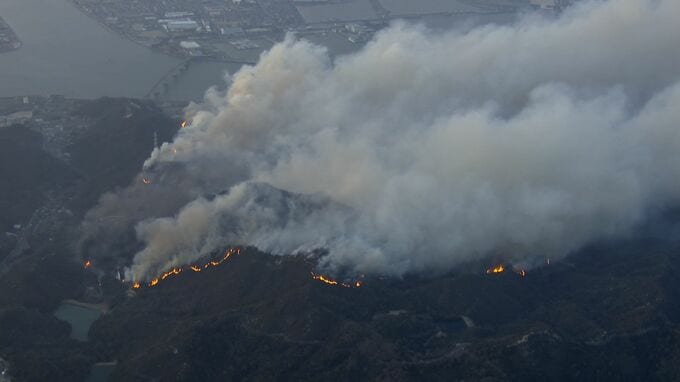 大規模な山林火災のあとに広がる生態系「死の世界」　20日目に鎮火した山林は再生できるのか【岡山】|TBS NEWS DIG