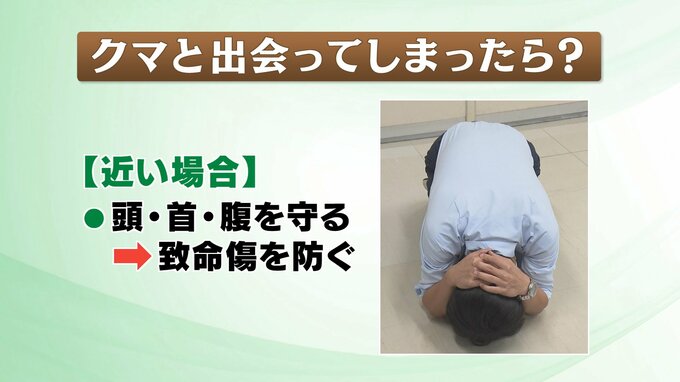 もしクマに出会ってしまったら？目撃・被害相次ぐ　福島　|　福島のニュース│TUF