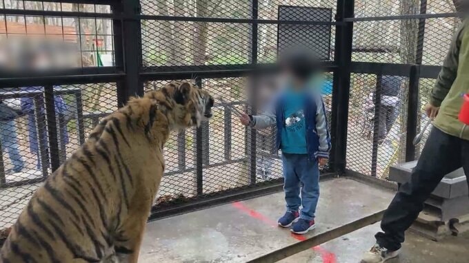 違法建築で閉園の「ノースサファリ」動物の移動が困難と札幌市にメール「報道の影響により、移動先との間に問題が発生」10月末時点で261頭が園内に | 北海道のニュース|HBC北海道放送