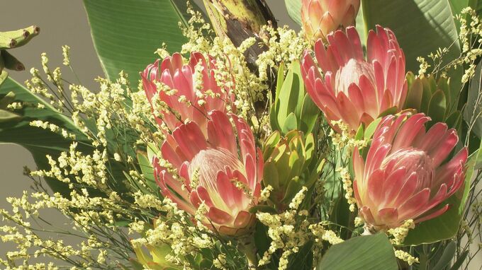 華道の流派を超え技と感性を競い合う 総合花展金沢展が開幕　|　石川県のニュース｜MRO北陸放送