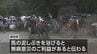 泥しぶきを浴びると無病息災のご利益　美郷町の御田祭　|　MRTニュース ｜ ＭＲＴ宮崎放送