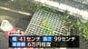 日南市の県道で鋼製の側溝の蓋4枚が盗まれる被害　|　MRTニュース ｜ ＭＲＴ宮崎放送