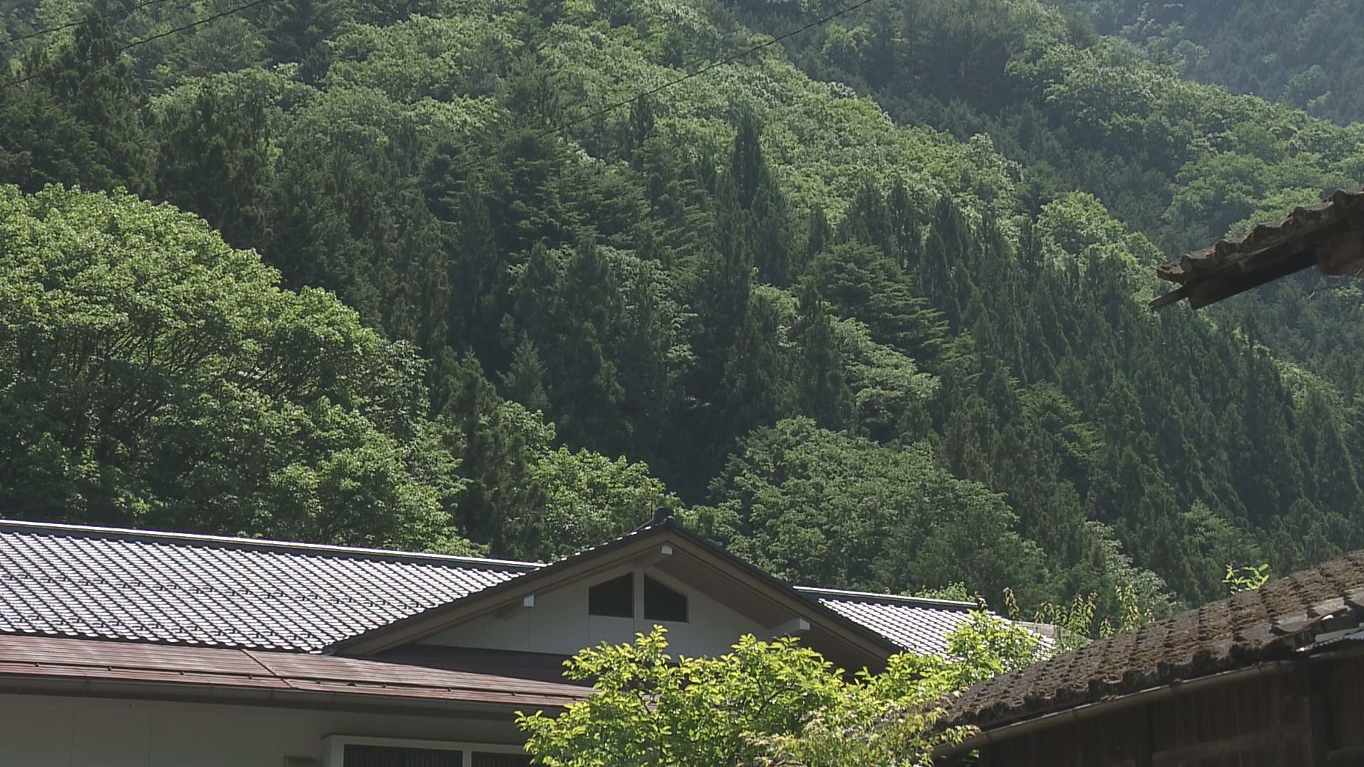 温泉旅館の女将が子クマに襲われ重傷 畑作業中に背後から…「こんな人里まで来るとは驚き」岐阜・下呂市