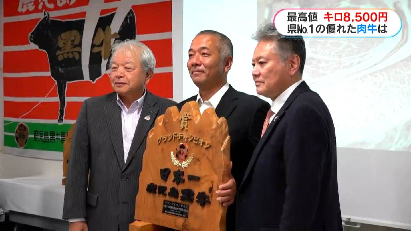 最高値は1キロ8500円 鹿児島県肉牛枝肉共進会開催 南九州市 | 鹿児島の