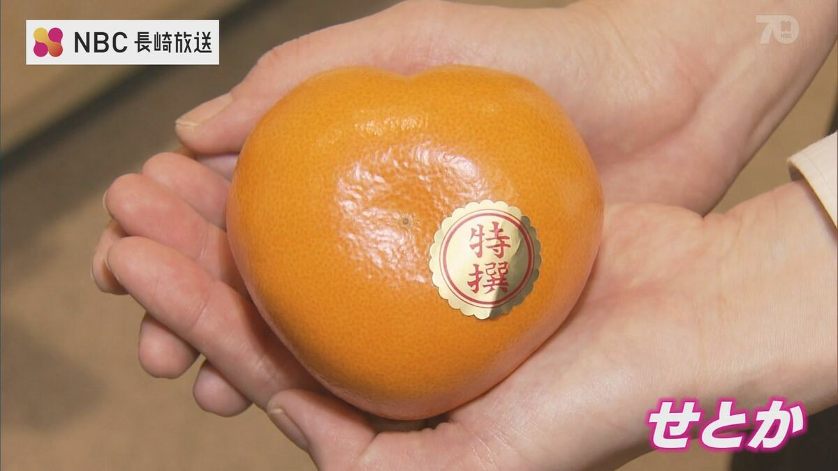 img_912aea70fa9c9ef45e619b12d0