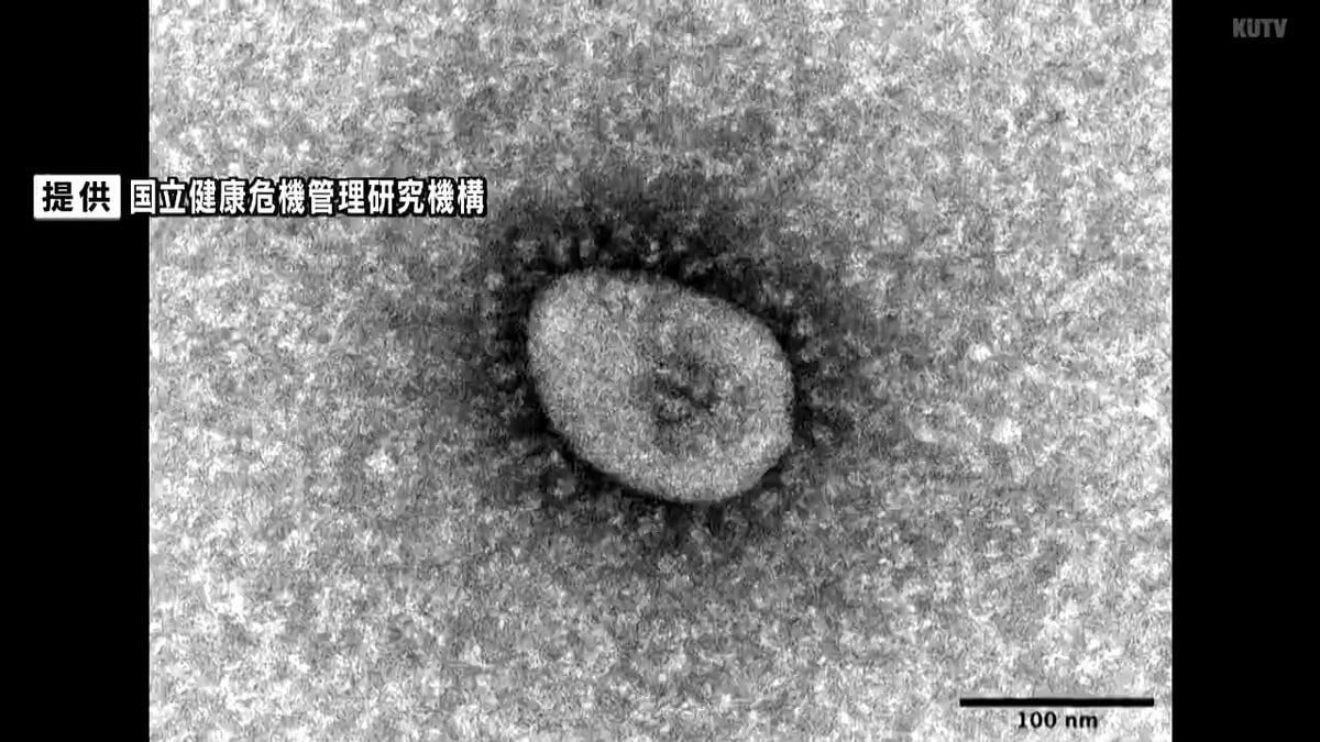 新型コロナ 1医療機関あたり感染者数10人超える【高知】 | TBS NEWS DIG